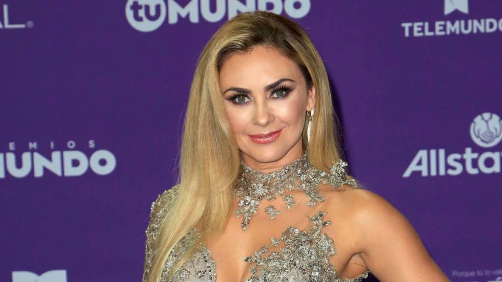 Aracely Arámbula reveló su figura física y revolucionó a sus seguidores