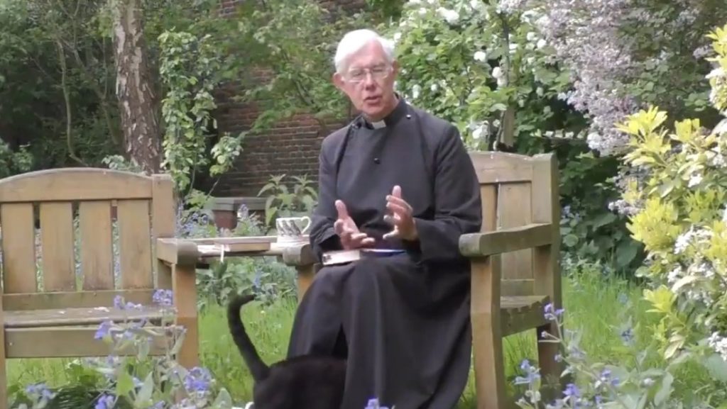 Vea el sacerdote que fue interrumpido por su gato en pleno sermón