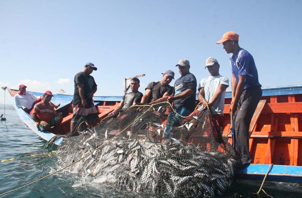 Narváez denuncia que pescadores pagan en dólares traslado de combustible a Coche