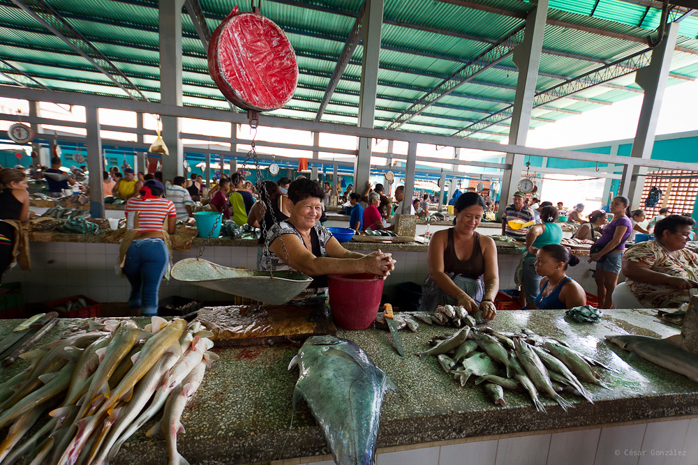 Denuncian aumento de delincuencia en el mercado municipal del pescado