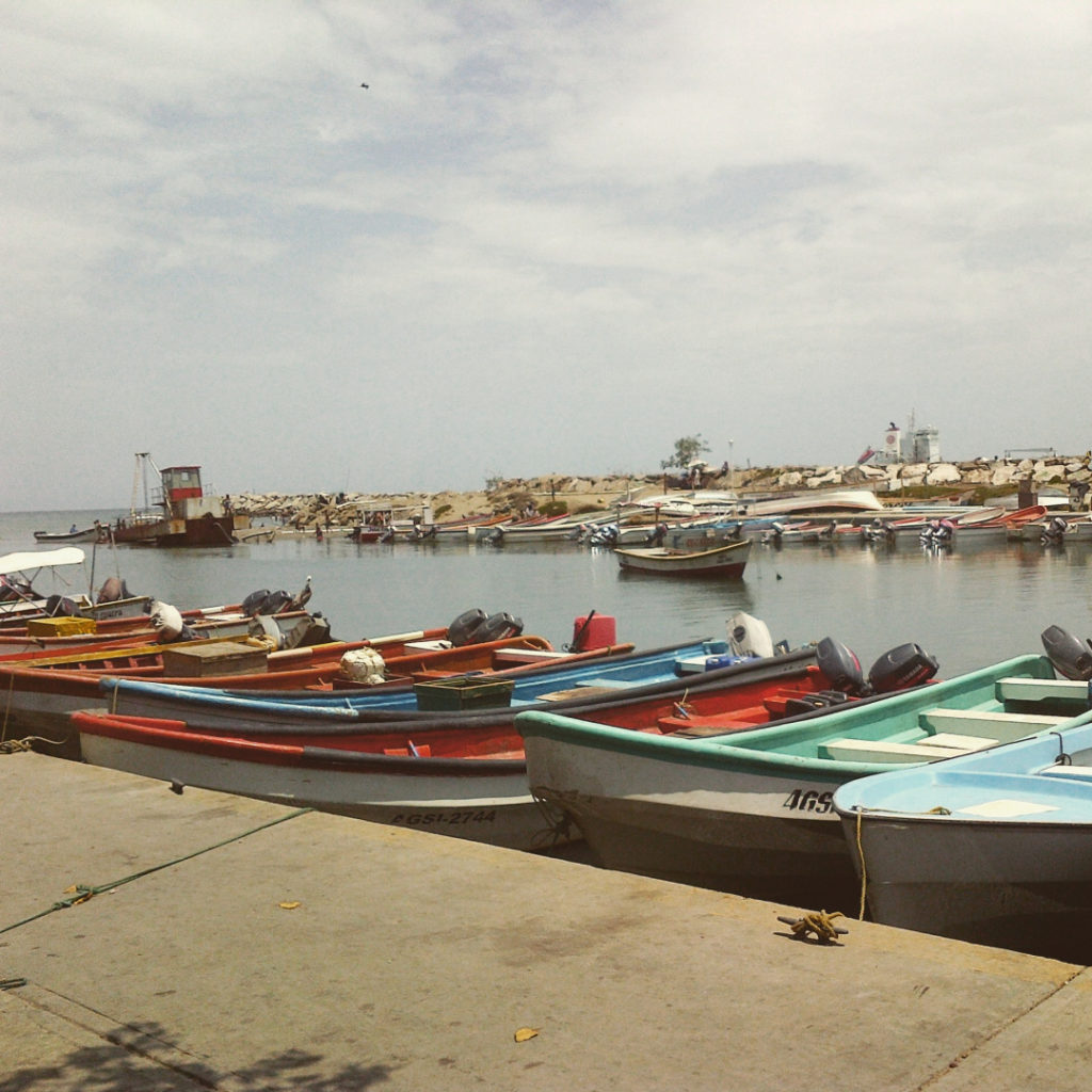 Exhortan a autoridades acelerar dotación de pruebas de descartes en muelle pesquero de Chacachacare