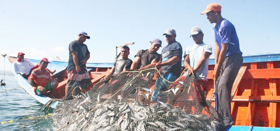 Exige políticas claras para suministro de combustible a pescadores artesanales de Nueva Esparta