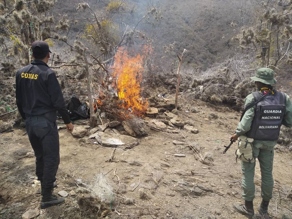 GNB de Nueva Esparta destruye campamentos de irregulares en cerro El Pitigüey