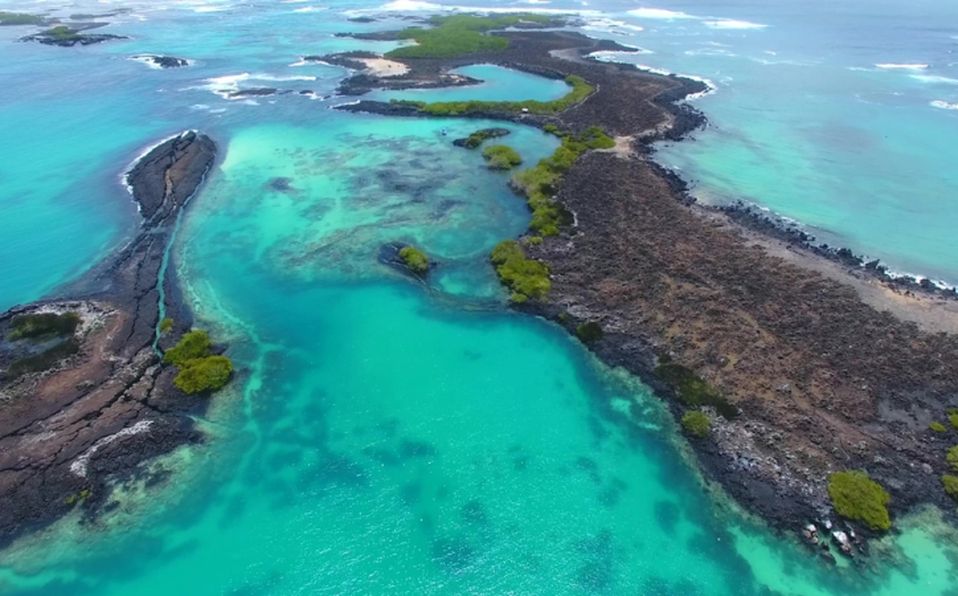 Ciencia y turismo tras los pasos de Darwin en Galápagos