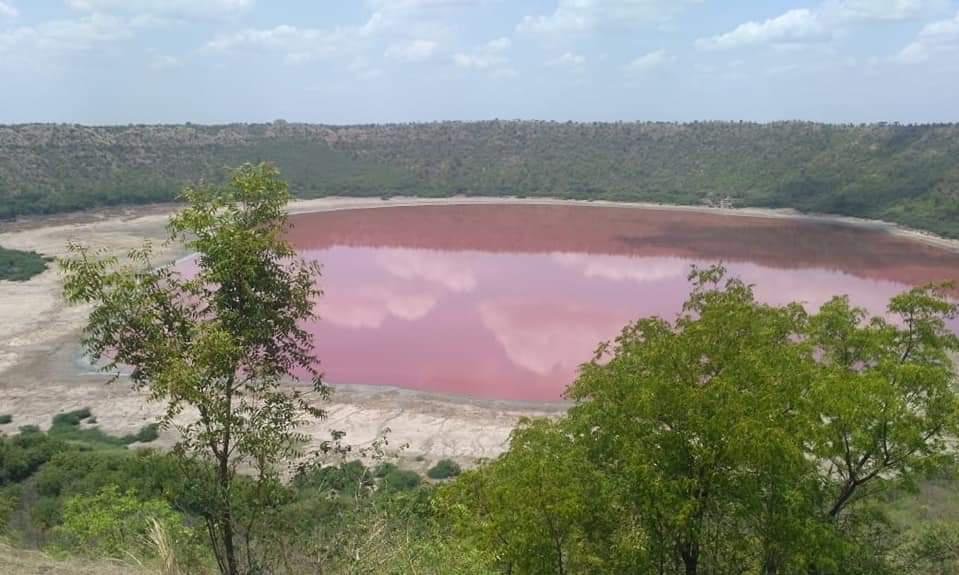 Lago Lonar en la India se tiñó de rosa sin razón aparente