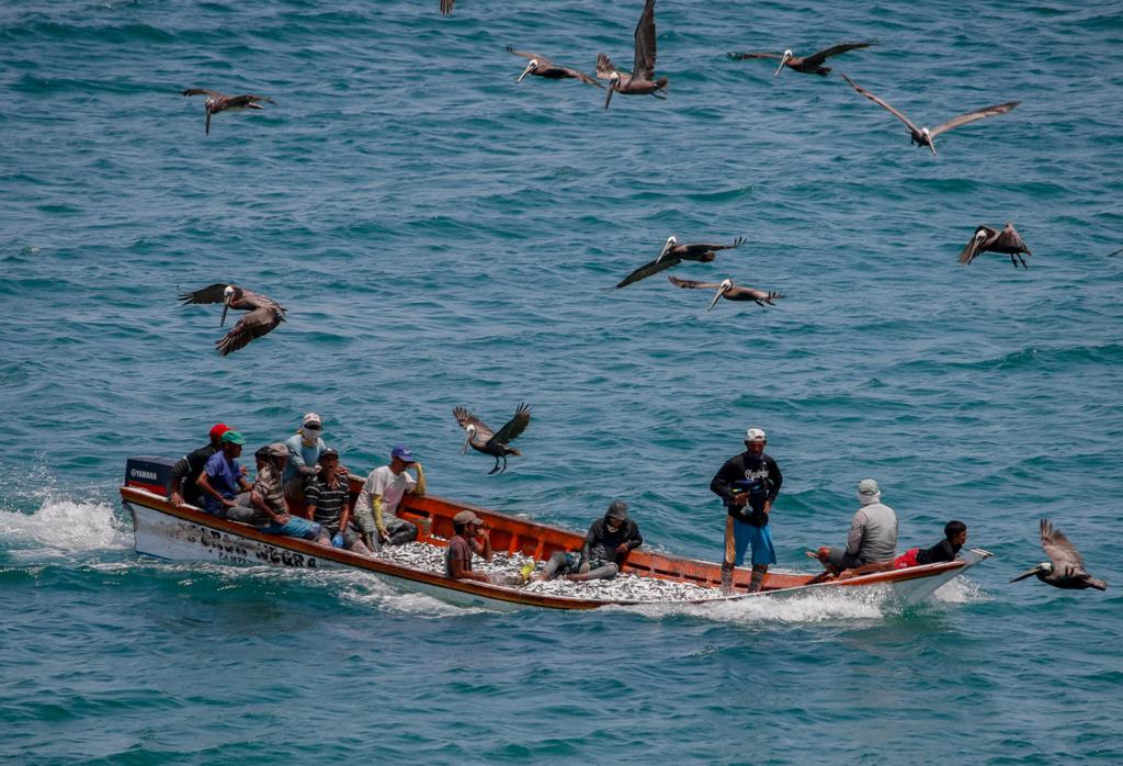 Más de 200 pescadores de Nueva Esparta fueron beneficiados con insumos y repuestos