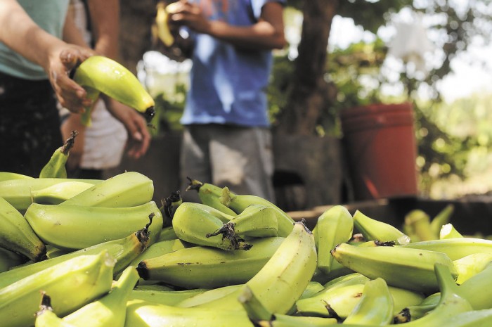 vendedor de plátanos