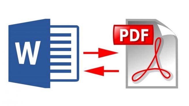 documentos Word PDF