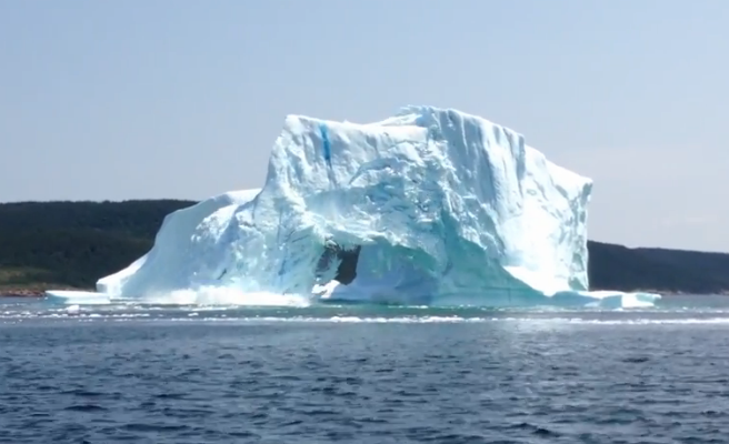 Se encaraman sobre un iceberg y éste se les volcó encima (+Video)
