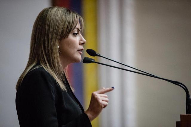 Diputada Jaramillo denuncia xenofobia hacia los venezolanos en el exterior