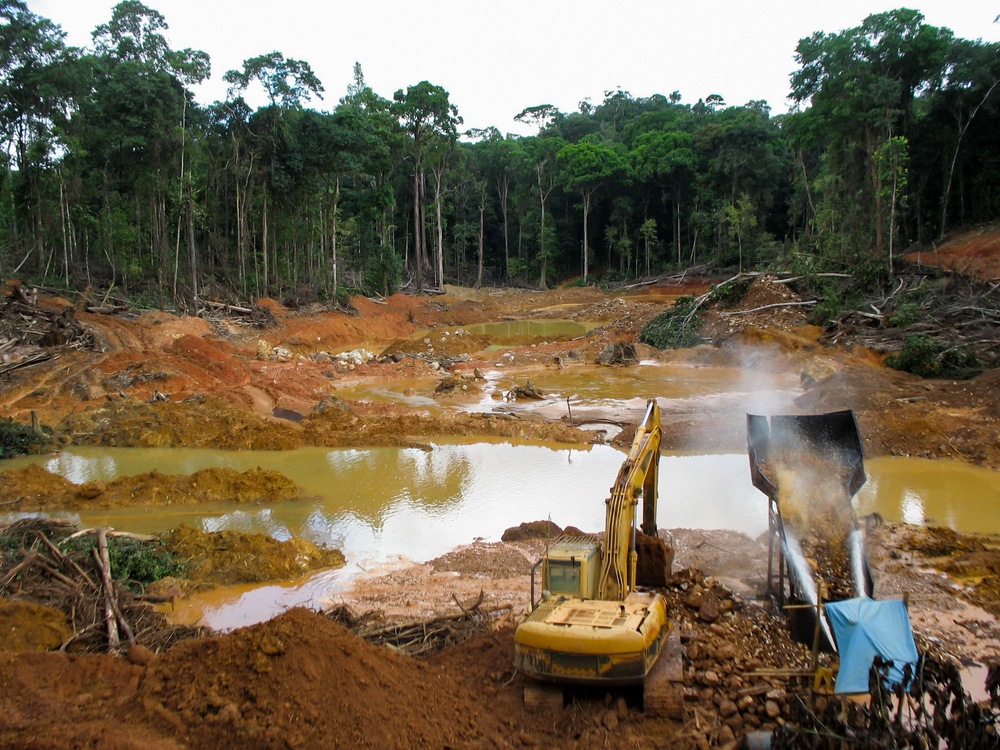 Minería en el Amazonas provoca empeoramiento de la deforestación