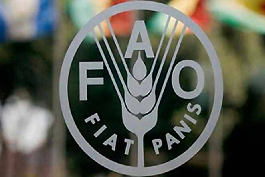 FAO sanciones