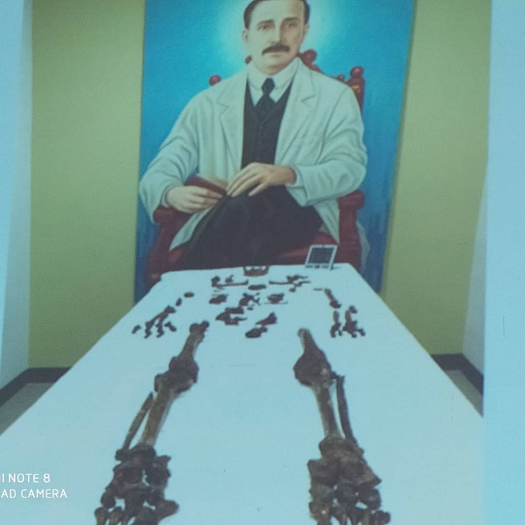Conozca los impactantes hallazgos tras exhumación de los restos del Dr. José Gregorio Hernández (+Fotos)