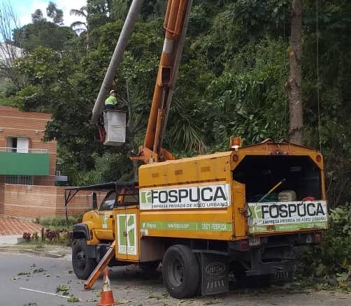 Denuncian que trabajadores de Fospuca destruyen árboles en La Esmeralda