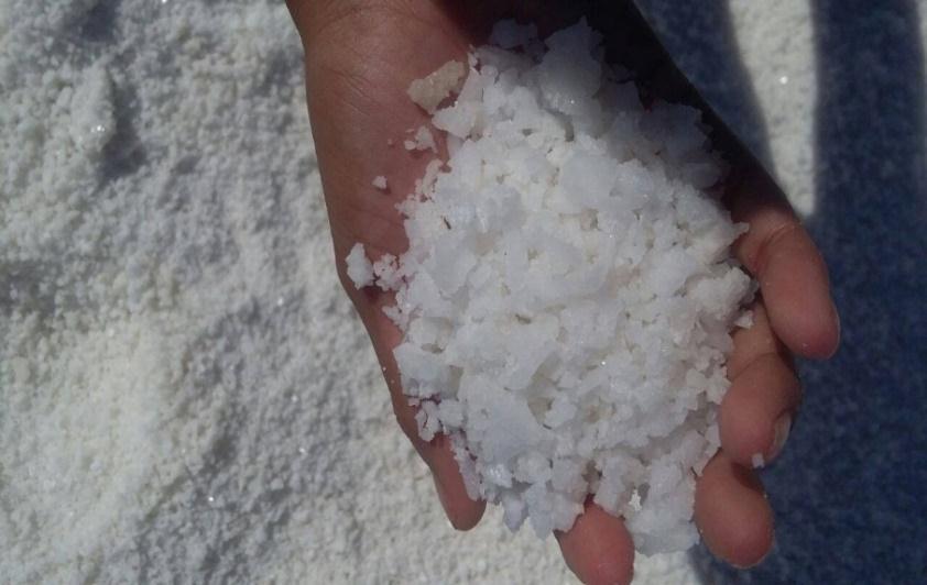 Denuncian irregularidades en la calidad de producción de la sal en Venezuela