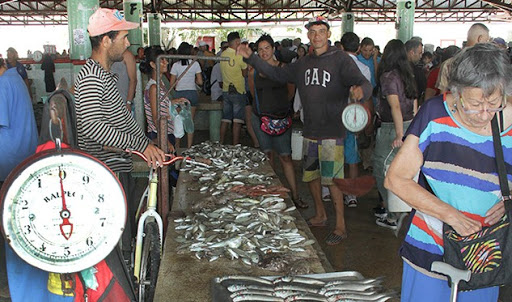 Vendedores en Nueva Esparta reportan bajas ventas de pescado