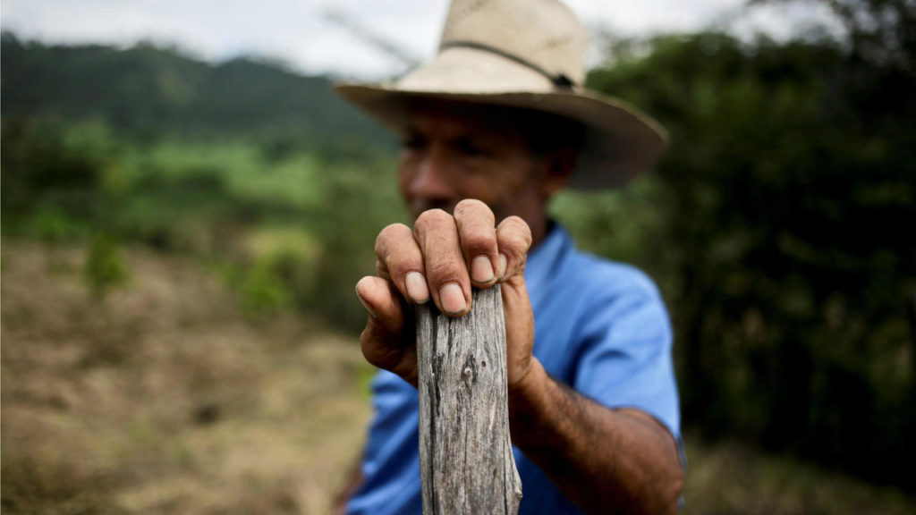 Alertan que nivel de pobreza aumentó en Latinoamérica por el COVID-19