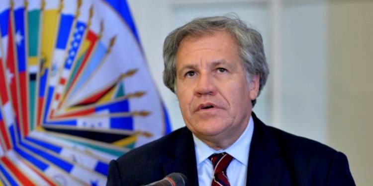 OEA rechazó la designación de un nuevo CNE en Venezuela