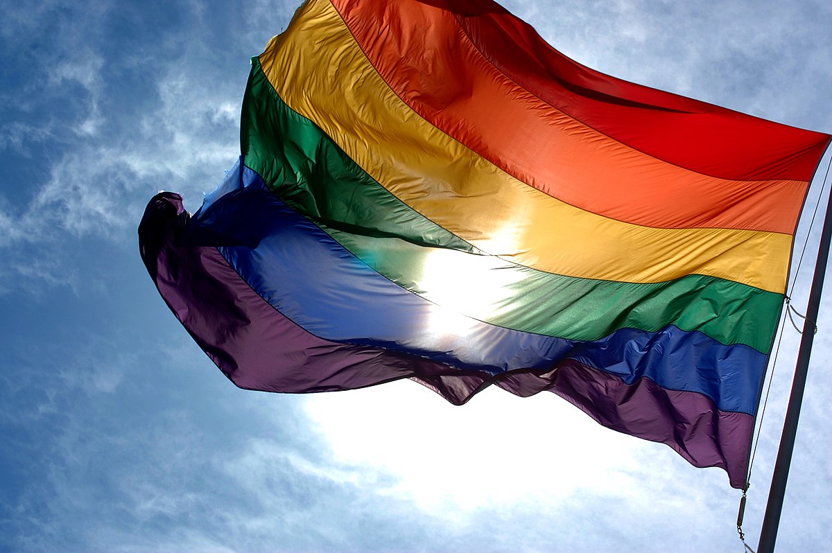 Varias ONG exigen mayor protección a la comunidad LGBTI