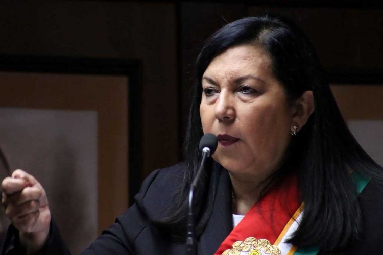 Carmen Meléndez será fue designada como candidata a la Alcaldía de Caracas en primarias del PSUV