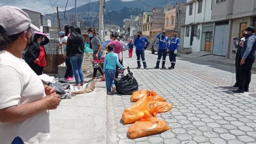Hallan a 20 perros muertos en las calles de Quito